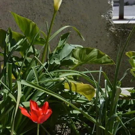 Apartament Ottima Posizione, Corte Privata, Parcheggio Gratis Sirolo